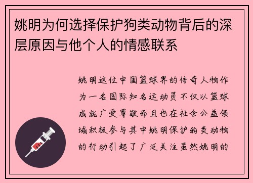 姚明为何选择保护狗类动物背后的深层原因与他个人的情感联系